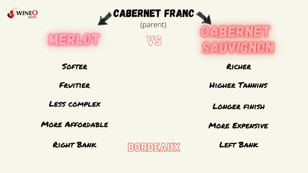 merlot vs cabernet