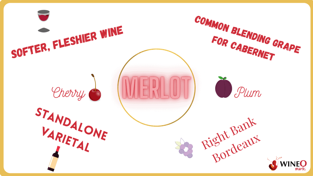 merlot descriptions medium bodied red wines