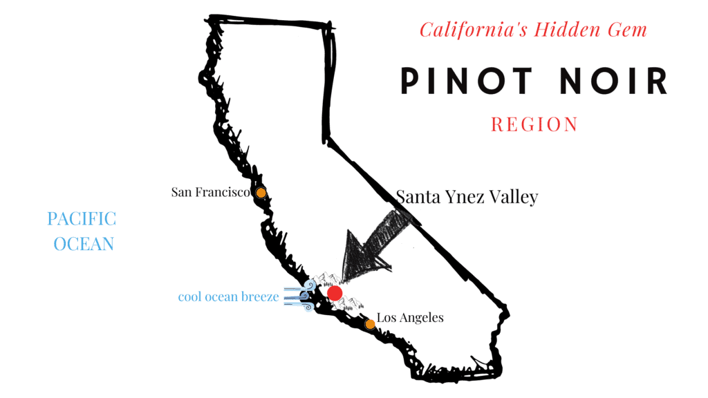 Santa Ynez Valley Pinot Noir Region