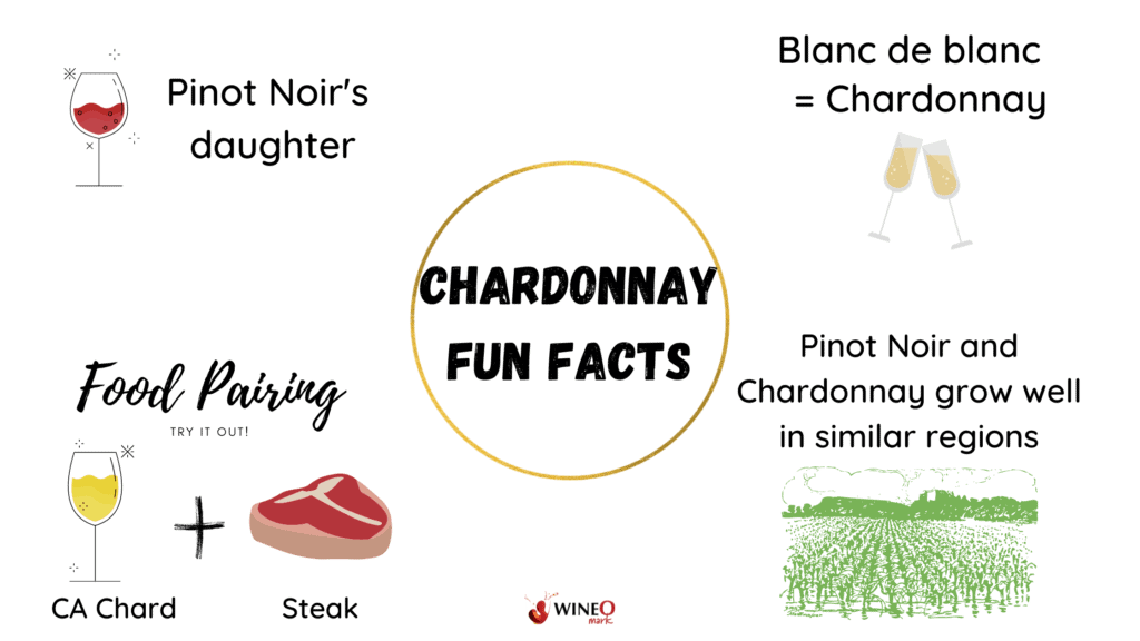 Chardonnay Fun facts