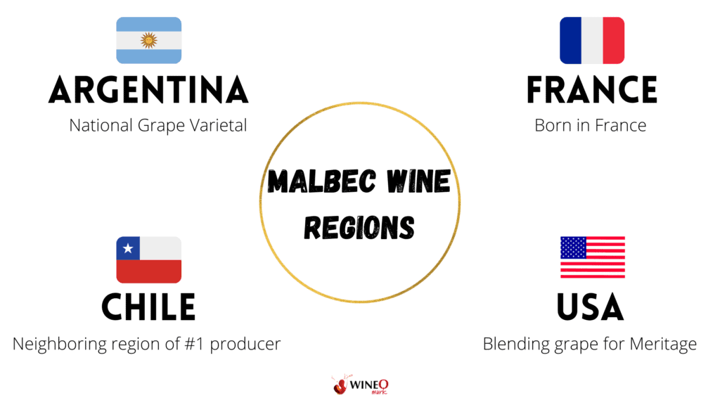 Malbec grapes Wine Regions