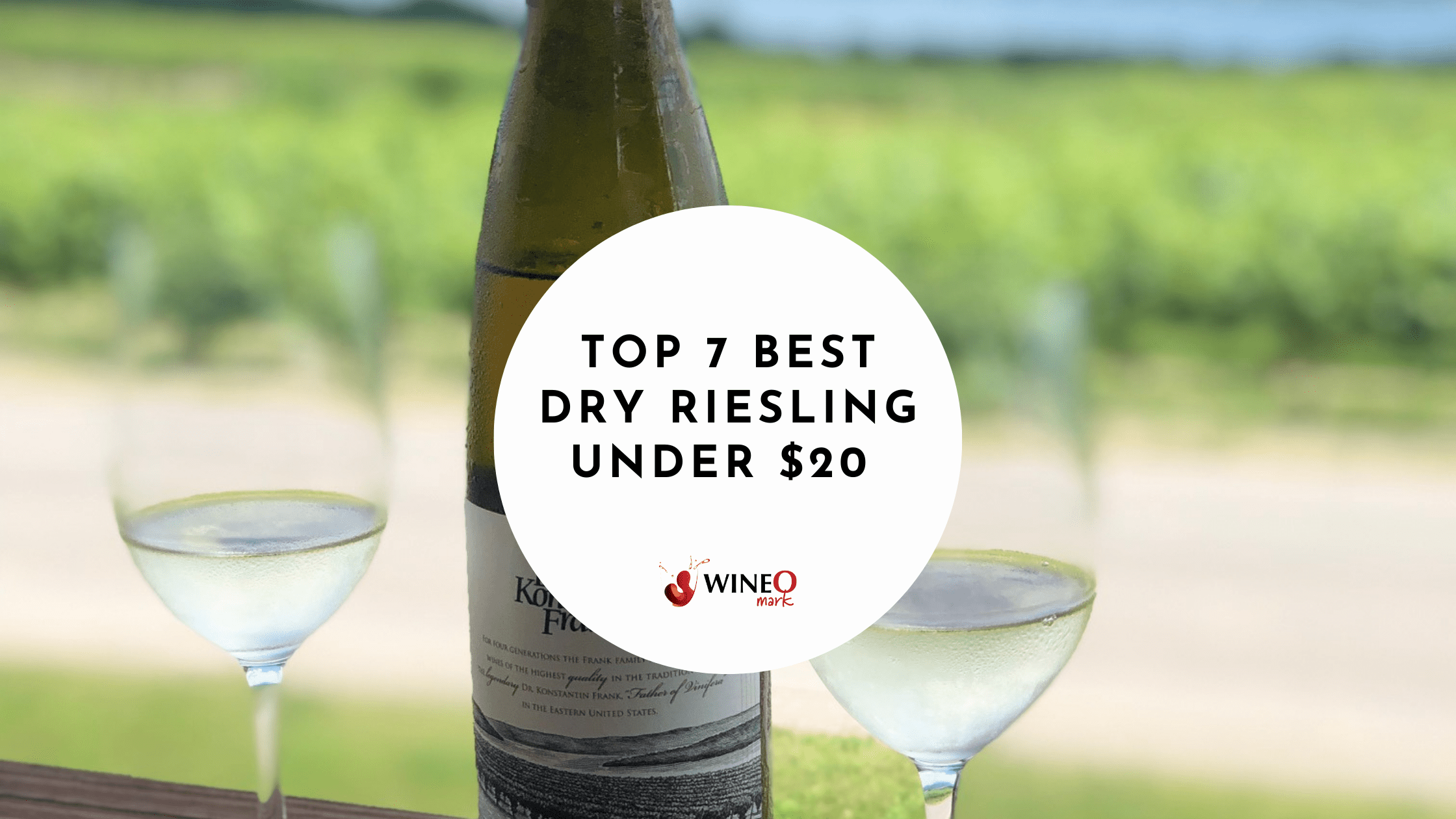 Our Dry Riesling Guide 7 BEST Dry Riesling Under for 2022