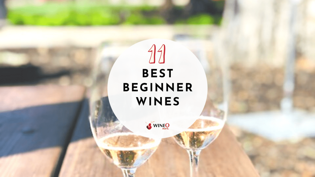 best wine for beginners