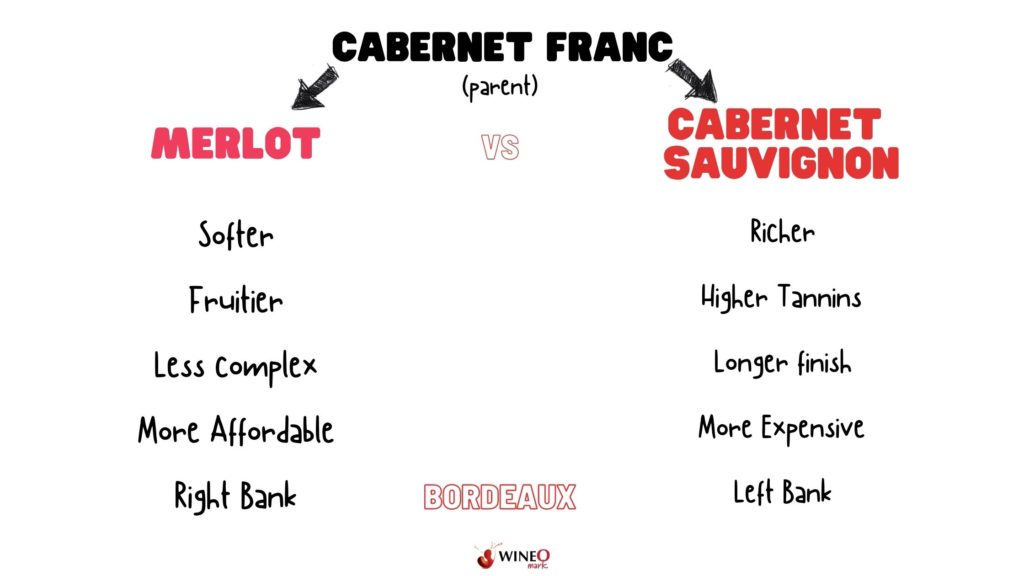 cabernet sauvignon vs merlot comparison