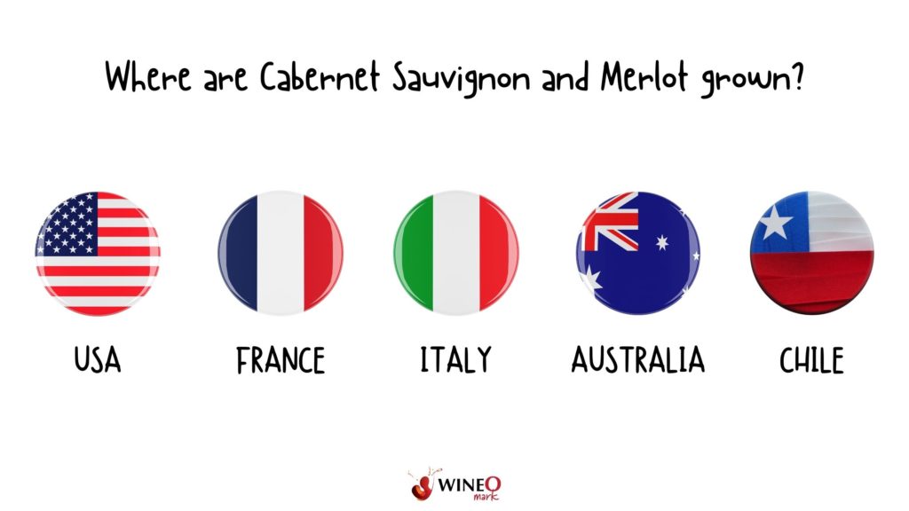 cabernet sauvignon vs merlot regions