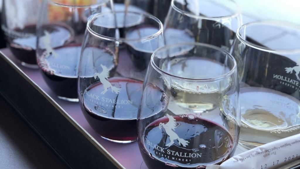 Black Stallion winery (1)
