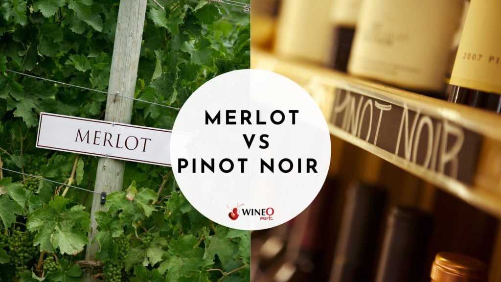 Merlot vs Pinot Noir