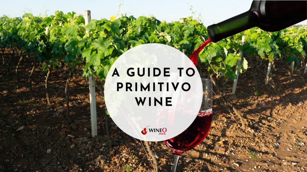 primitivo wine