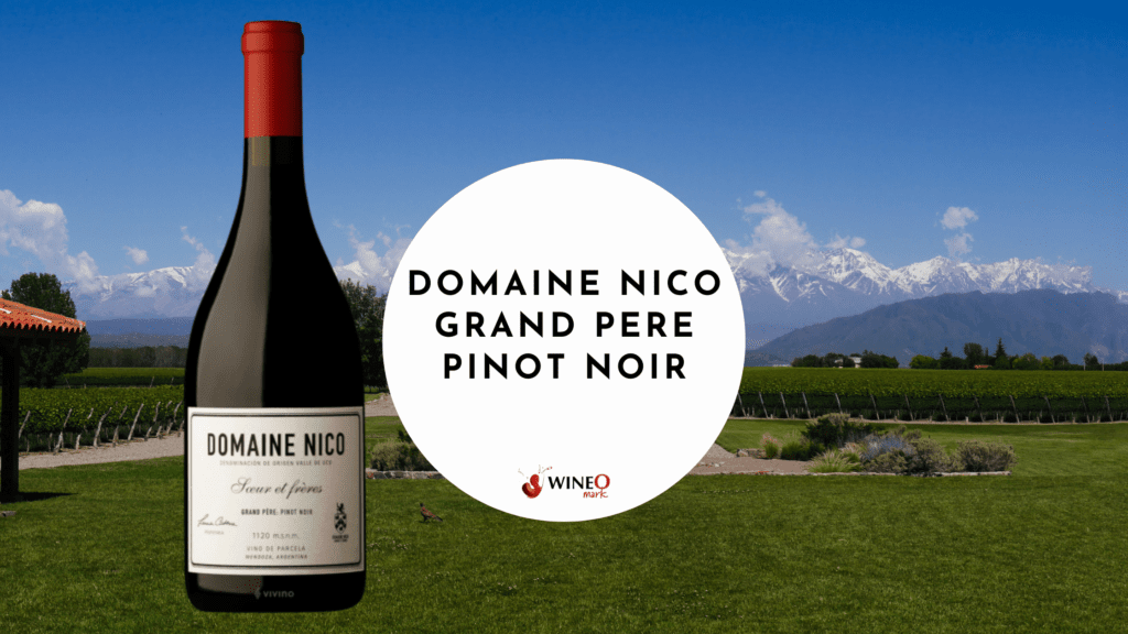 Domaine Nico Grand Pere Pinot Noir