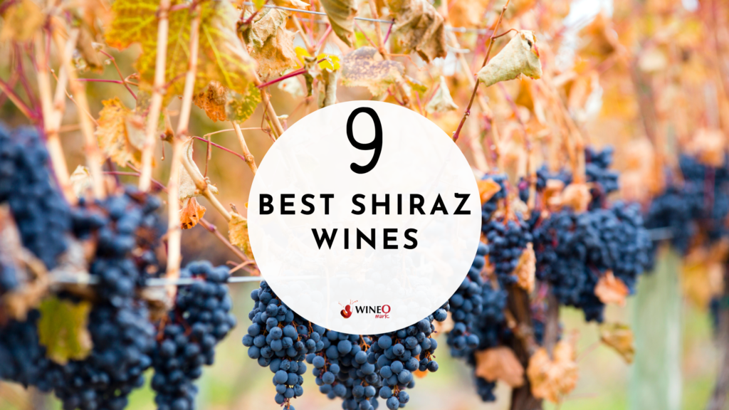 shiraz wine