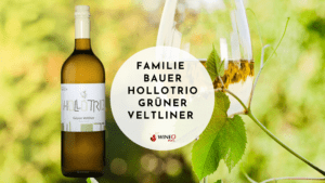 Familie Bauer Hollotrio Grüner Veltliner
