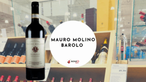 Mauro Molino Barolo