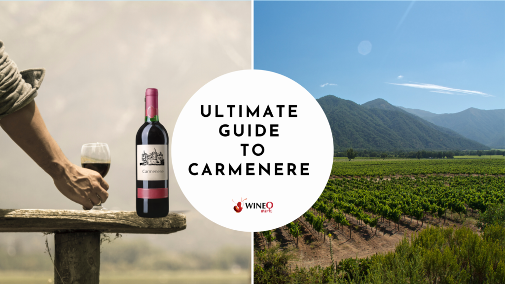 Carmenere wine guide