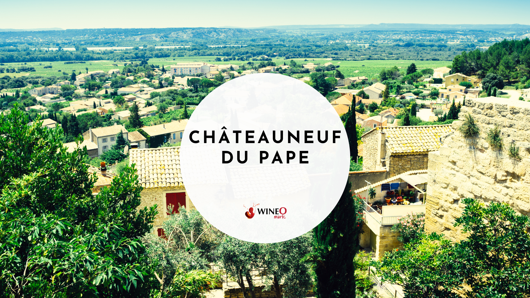 Positiv Museum Soaked ULTIMATE Guide to Chateauneuf du Pape | Top 7 | Vintage Chart