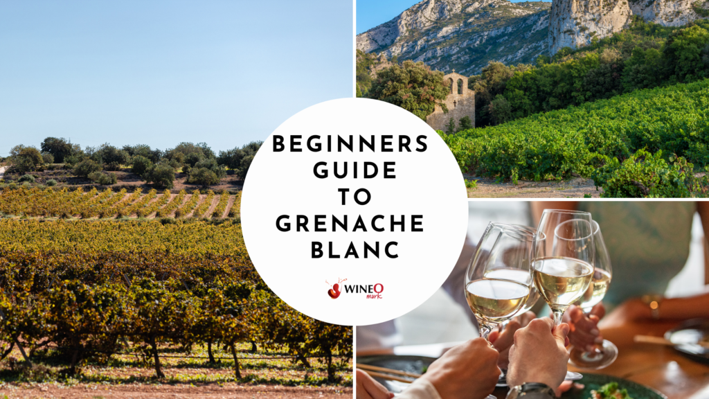 Grenache blanc wine guide