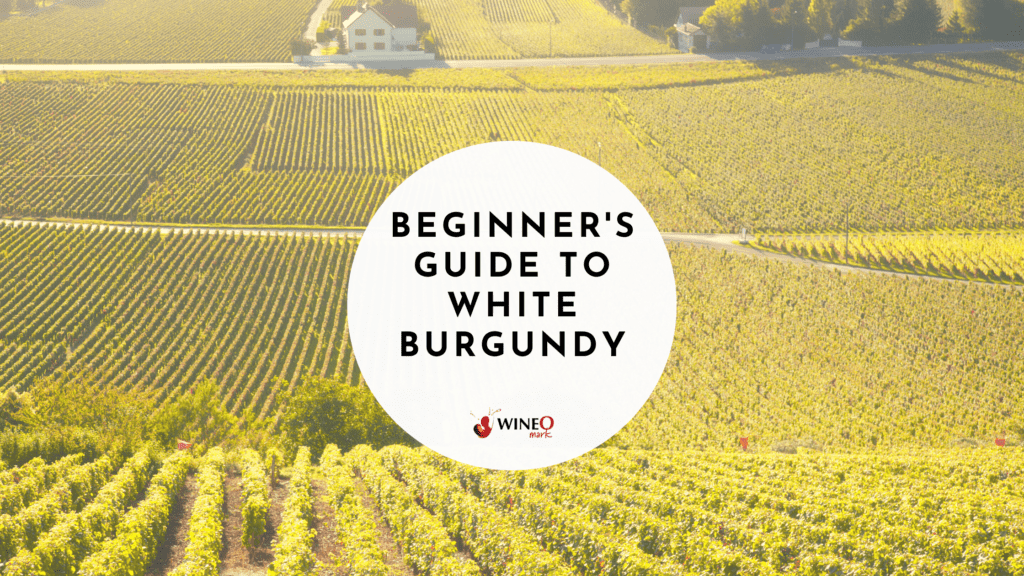Guide to White Burgundy