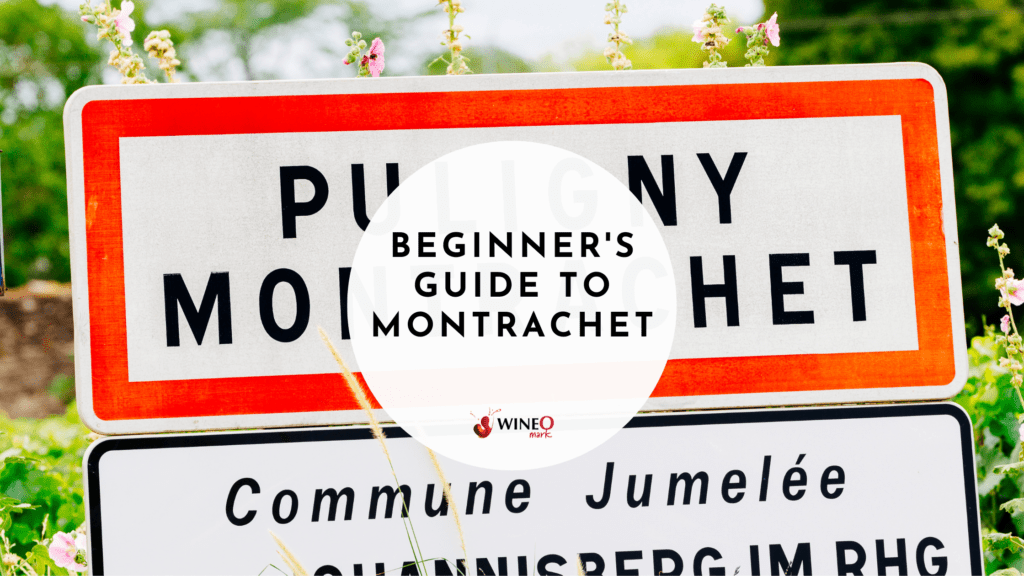 Montrachet Wine Beginner's Guide