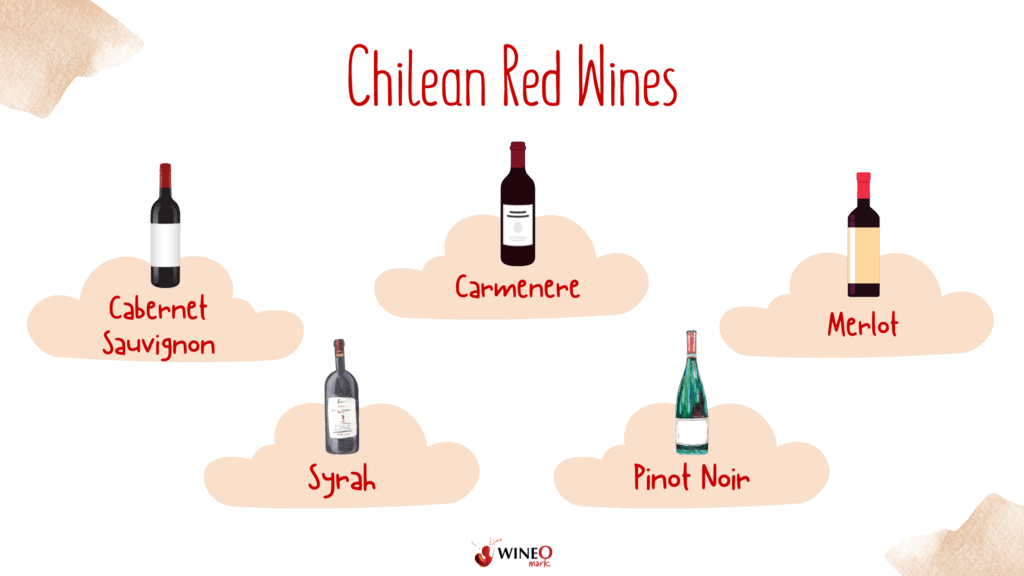 chilean red wine