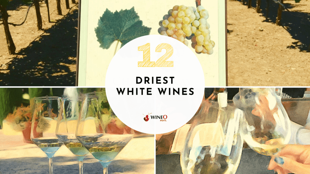 driest white wine